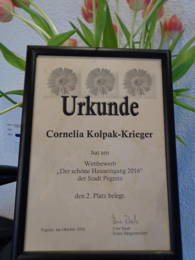 Cornelia Kolpak-Krieger Apartment เพกนิทซ์ ภายนอก รูปภาพ